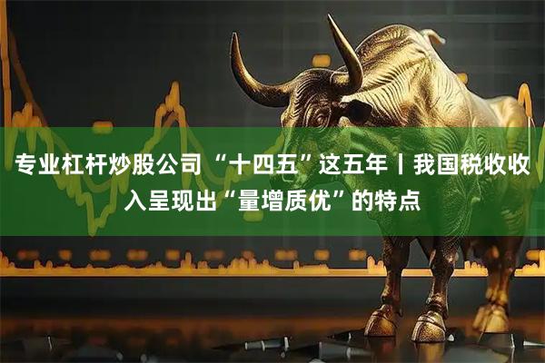 专业杠杆炒股公司 “十四五”这五年丨我国税收收入呈现出“量增质优”的特点